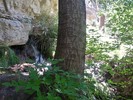 photo thumbnail #11