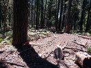 photo thumbnail #13