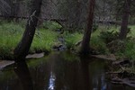 photo thumbnail #7