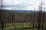 photo thumbnail #9