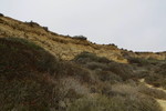 photo thumbnail #14