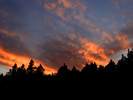 photo thumbnail #13