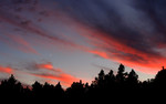 photo thumbnail #14
