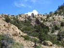 photo thumbnail #10