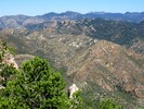 photo thumbnail #8