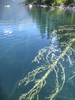 photo thumbnail #13