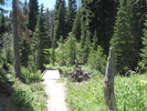 photo thumbnail #4
