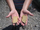 photo thumbnail #7