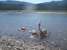 photo thumbnail #12