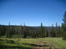 photo thumbnail #6
