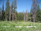 photo thumbnail #7