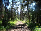 photo thumbnail #9
