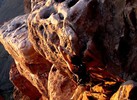 photo thumbnail #13