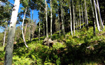 photo thumbnail #12