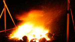 photo thumbnail #13