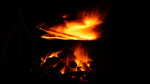 photo thumbnail #14