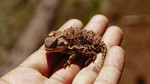photo thumbnail #11