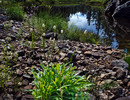 photo thumbnail #15