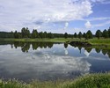 photo thumbnail #9