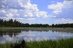photo thumbnail #10