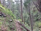 photo thumbnail #1