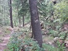 photo thumbnail #3