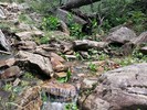 photo thumbnail #6