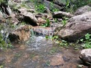 photo thumbnail #7