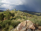 photo thumbnail #7