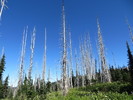 photo thumbnail #7