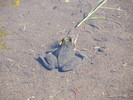 photo thumbnail #9