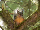 photo thumbnail #13