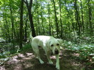 photo thumbnail #3