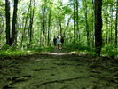 photo thumbnail #4
