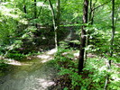 photo thumbnail #13