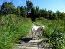photo thumbnail #1