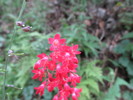 photo thumbnail #10