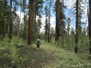 photo thumbnail #2