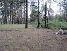 photo thumbnail #5