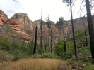 photo thumbnail #2