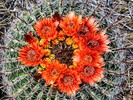 photo thumbnail #3