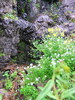 Featured Detail Photo