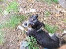 photo thumbnail #13