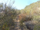 photo thumbnail #2