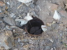 photo thumbnail #9