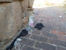photo thumbnail #13