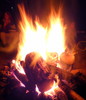 photo thumbnail #15