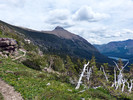 2013-07-08 :1: Dawson Pass GNP :: tibber