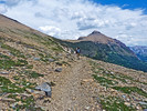 2013-07-08 :1: Dawson Pass GNP :: tibber