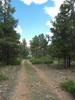 photo thumbnail #8